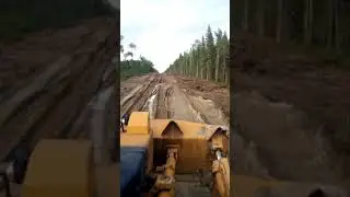 6 марта 2020 г.