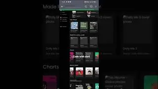 Responsive Spotify clone using HTML CSS and JavaScript with source code 