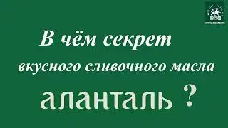 В чём секрет вкусного масла Аланталь   #аланталь #алантальмасло #мастерскаясыроделия