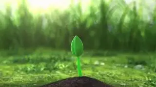 BioFamily kezdet