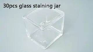 laboratory pathological tissue slide glass staining jar for 30pcs slides