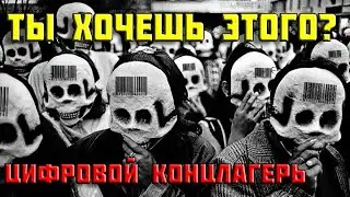 QR коды в магазинах и транспорте | Куда мы катимся?