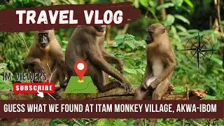 Guess What We Found😱😱Right here in Itam Monkey Village by Naija7Wonders Team