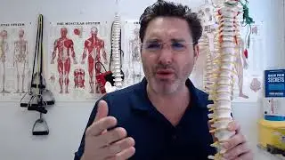 Back Pain or Kidney Pain? Find Out What Hurts