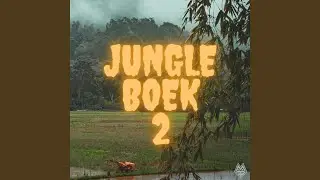 Wereld op zijn kop (feat. Kiddo-Cee)