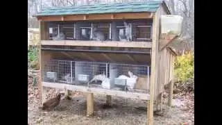 Ternak Kelinci [081213644254] - Kandang Kelinci Sehat dan Nyaman