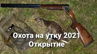 Охота на утку 2021. Ч.2. Открытие.