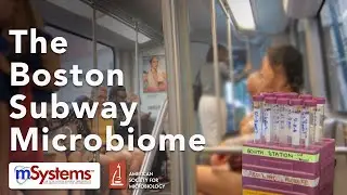 The Boston Subway Microbiome - mSystems/American Society for Microbiology