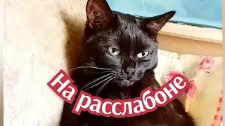 Ночка на расслабоне😁