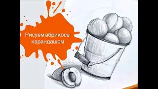 Рисуем Абрикосы в Ведерке Простым Карандашом!