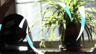 Flash FX Liquid Motion Transitions After Effects