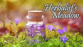Herbalist's Meadow - Softspoken ASMR (Into the Wilds #4)
