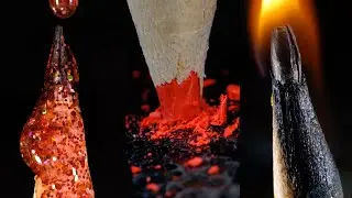 How things look and behave in macro - Video 7