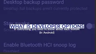 WHAT IS DEVELOPER OPTIONS: In everything you need to know about each feature ( ln Android )