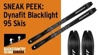 Dynafit Blacklight 95 Skis