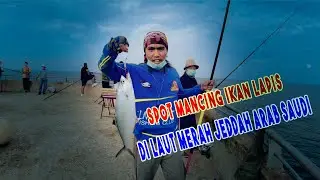 SPOT MANCING IKAN LAPIS DI LAUT MERAH JEDDAH ARAB SAUDI