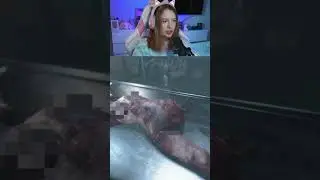 Autopsy Simulator #myrlifox #AutopsySimulator