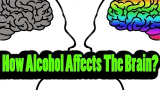 How Alcohol Affects The Brain?