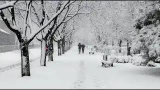 МАРТОК в МАРИУПОЛЕ.