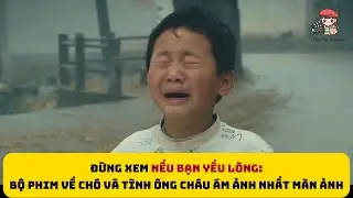 [Review Phim] Đừng Xem Nếu Bạn Yếu Lòng: Bộ Phim Về Tình Ông Cháu Và Chú Chó Ám Ảnh Nhất Màn Ảnh