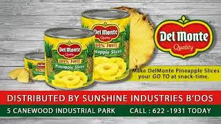 DEL MONTE PINEAPPLE SLICES "GO-TO at Snack-time"