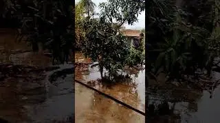rain in winter..