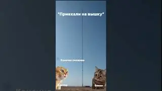 Рил: Приехали на вышку B67 Tower 🗼 #рекомендации #рек #youtubeshorts #тренды #приколы #fypシ #fyp