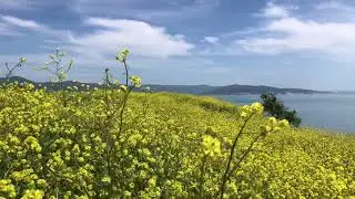 Россия. Новороссийск. Мысхако. Весна.