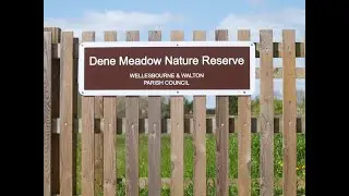 Dene Meadow Nature Reserve