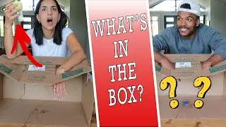 WHAT'S IN THE BOX CHALLENGE