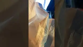 MY PROBLEM WITH TRASH BAGS