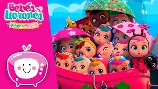 La PREDICCIÓN de Tina 🔮 BEBÉS LLORONES 💧 LÁGRIMAS MÁGICAS 💕