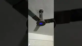 #fan