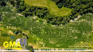 This Taylor Swift-inspired corn maze is better than your 'Wildest Dreams'