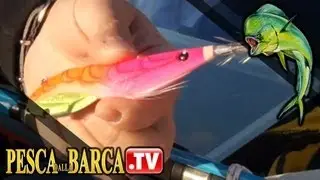 COME PESCARE LE SEPPIE DALLA BARCA | BASI DI PESCA AI CEFALOPODI