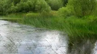 р.Лупья за Зарекой