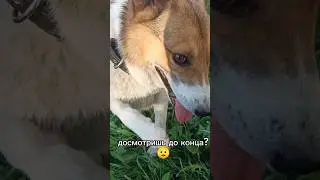 )? 