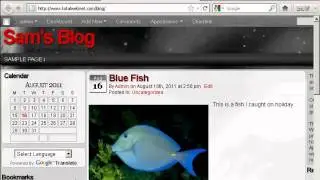 Wordpress Tutorial - Using Wordpress Widgets in the Sidebar