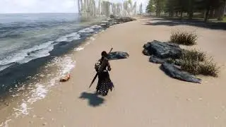 midwood isle waves