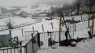 Tombé La Neige