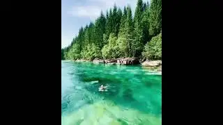 Swimming In An Amazing River  In 