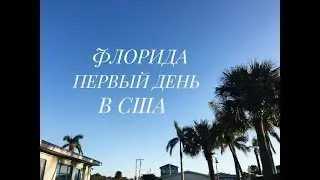 ВЛОГ| Улетаем в США | Наш 384 или первый день в Америке