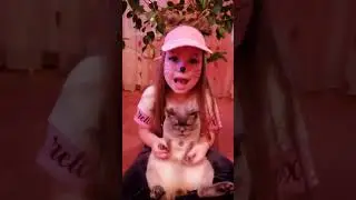 ми з тобою котики !