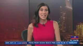Walk4ALZ 2024 / Eugenia Welch Interview - KUSI News