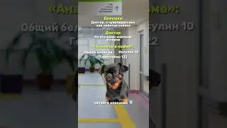 Девушки, кто сталкивался? Пишите в комментариях