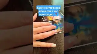 2 сентября 2024 г.