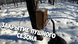 Закрытие пушного сезона. Едем закрывать кулемки