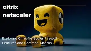 Exploring Citrix NetScaler Firewall Features and Common Attacks