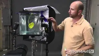 Creative Still Life Photography: Ep 216: Digital Photography 1 on 1