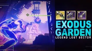 Hunter Solo Exodus Garden | Destiny 2